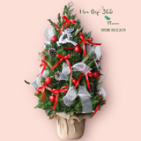  Cây Thông Noel Jingle Bell Pine - HGS11 - Giáng Sinh Ấm Áp 