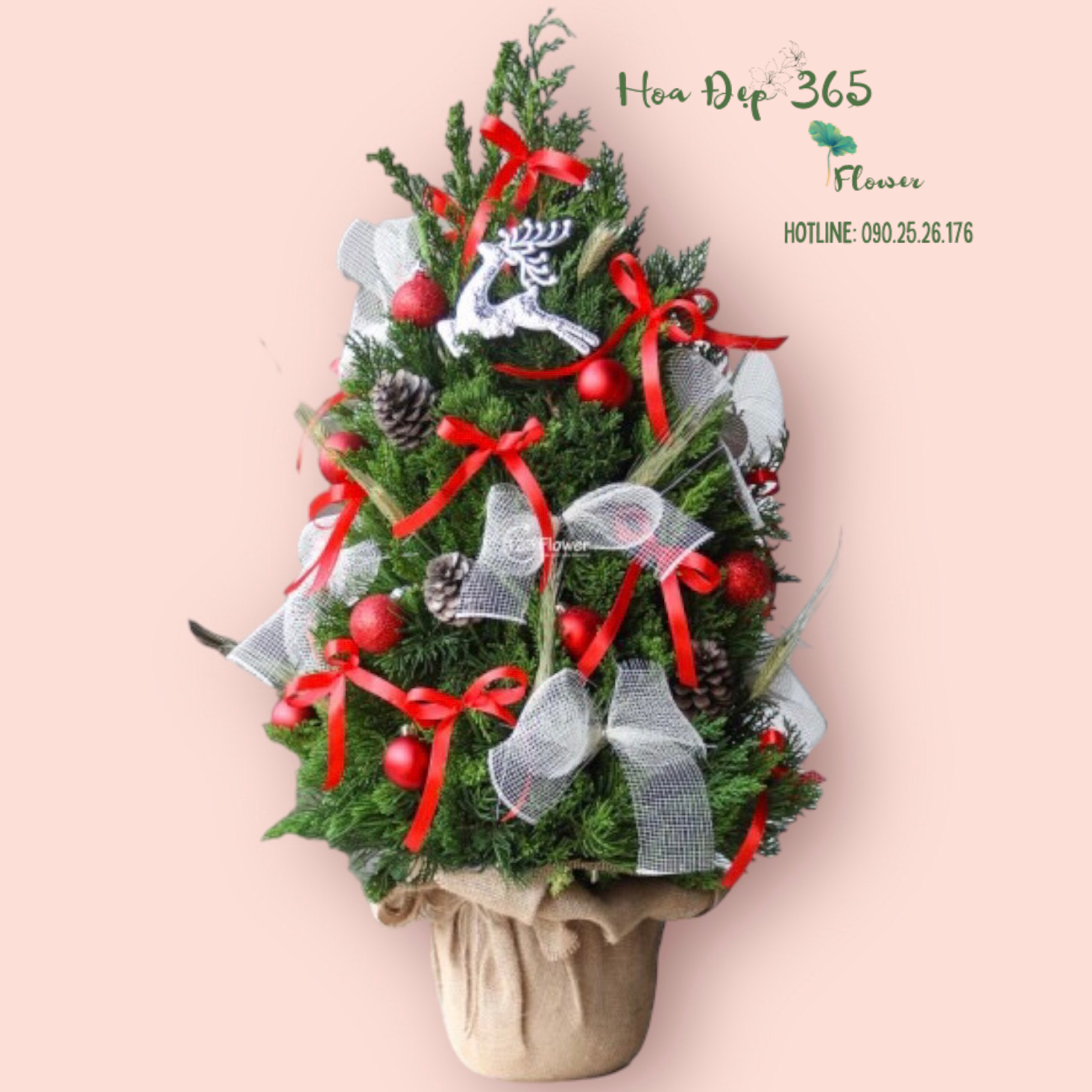 Cây Thông Noel Jingle Bell Pine - HGS11 - Giáng Sinh Ấm Áp