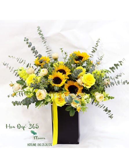 Ánh Dương- HH44 - Hoa 20/10