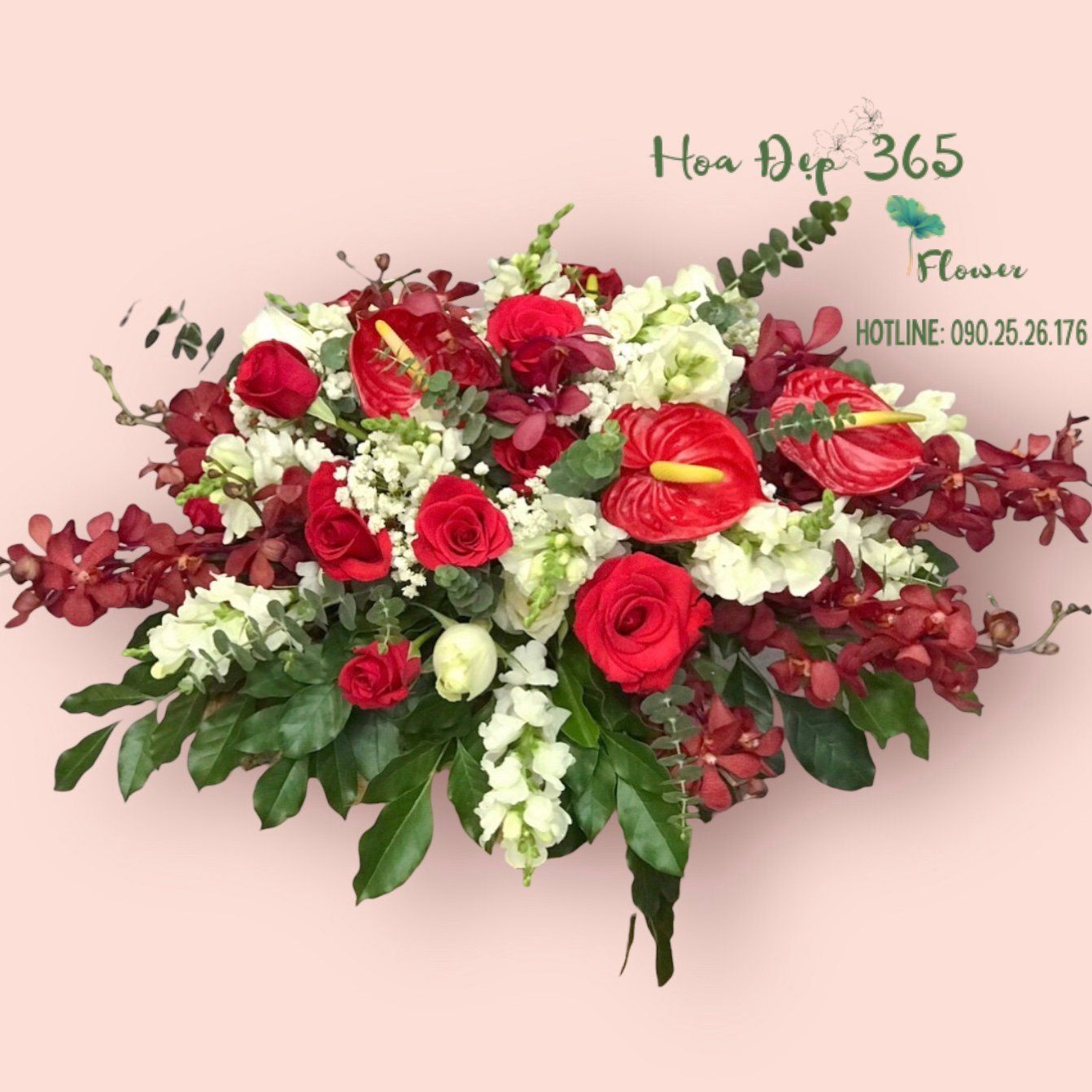 Hoa Để Bàn - Ovan 18