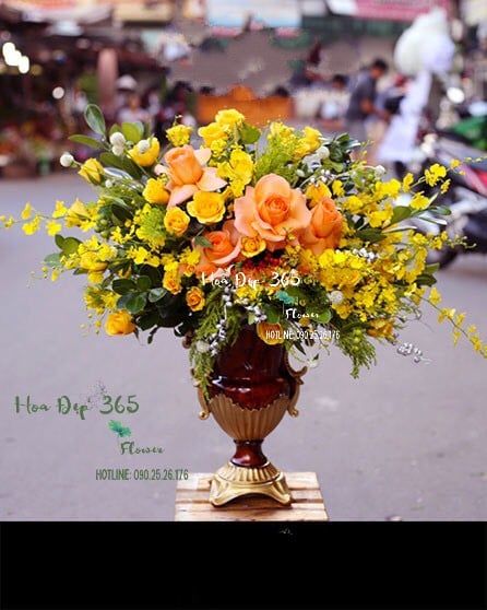 Nắng - HCB24