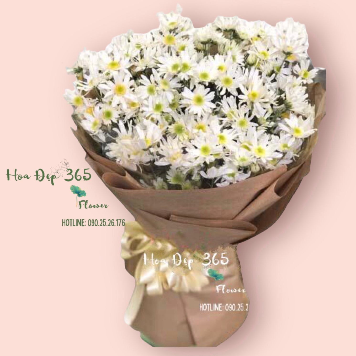 Mùa Đông Không Lạnh - HBT66