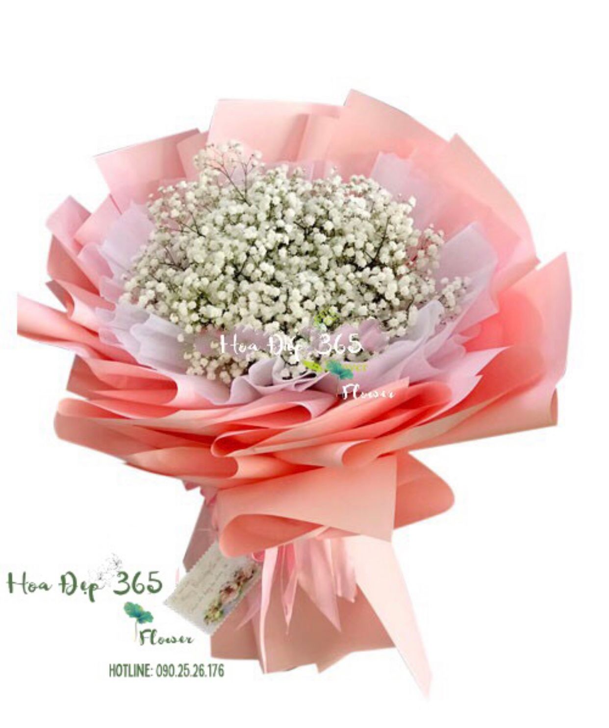 Kẹo Ngọt - HBT76 - Hoa 20/10 - Bó hoa Baby Trắng tặng bạn gái