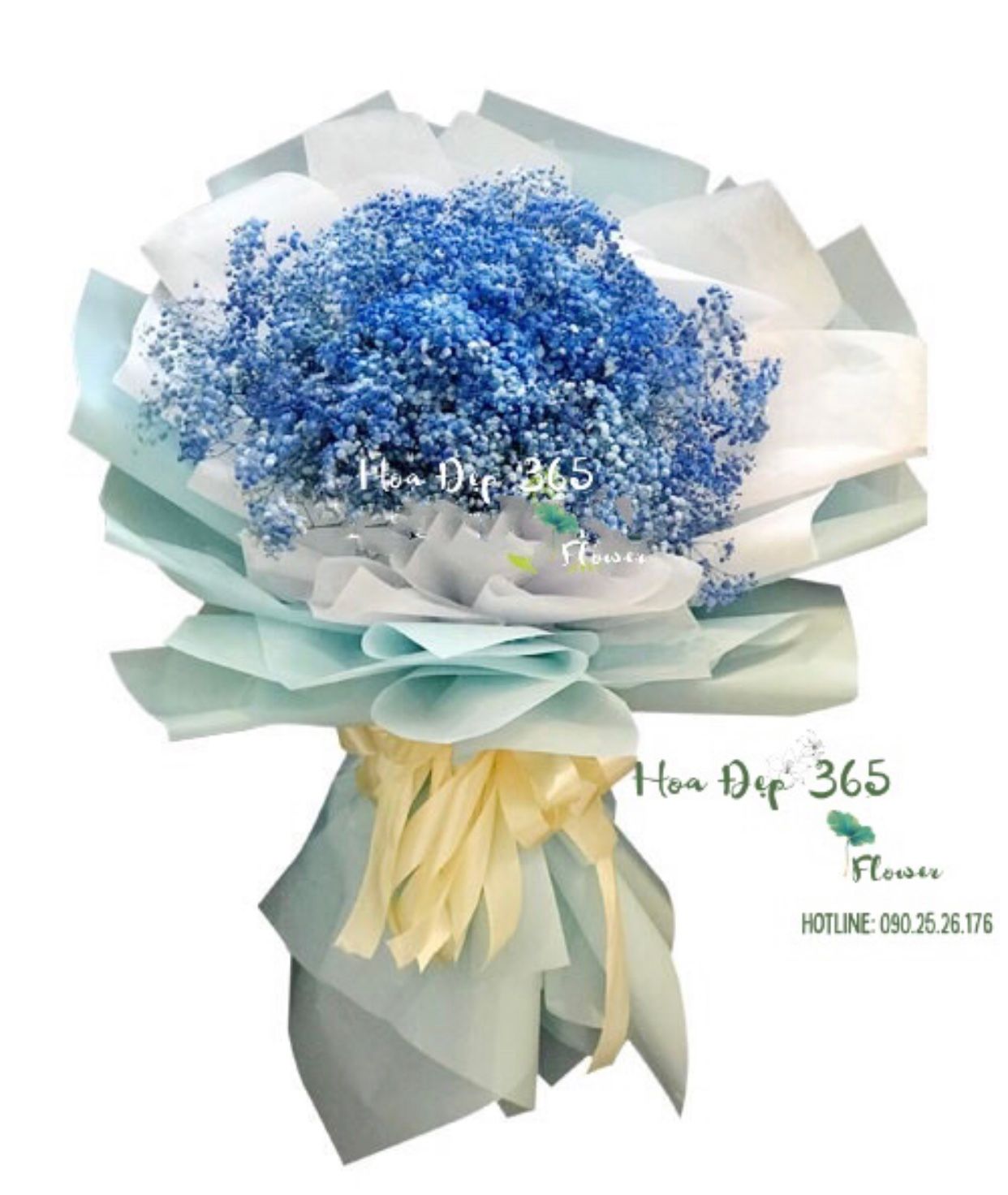  Biển Rộng - HBT77 - Hoa 20/10 - Bó hoa baby tặng người yêu 