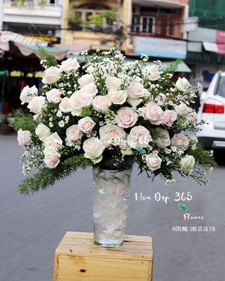 Thiệp Hồng - HCB43 - Điện Hoa