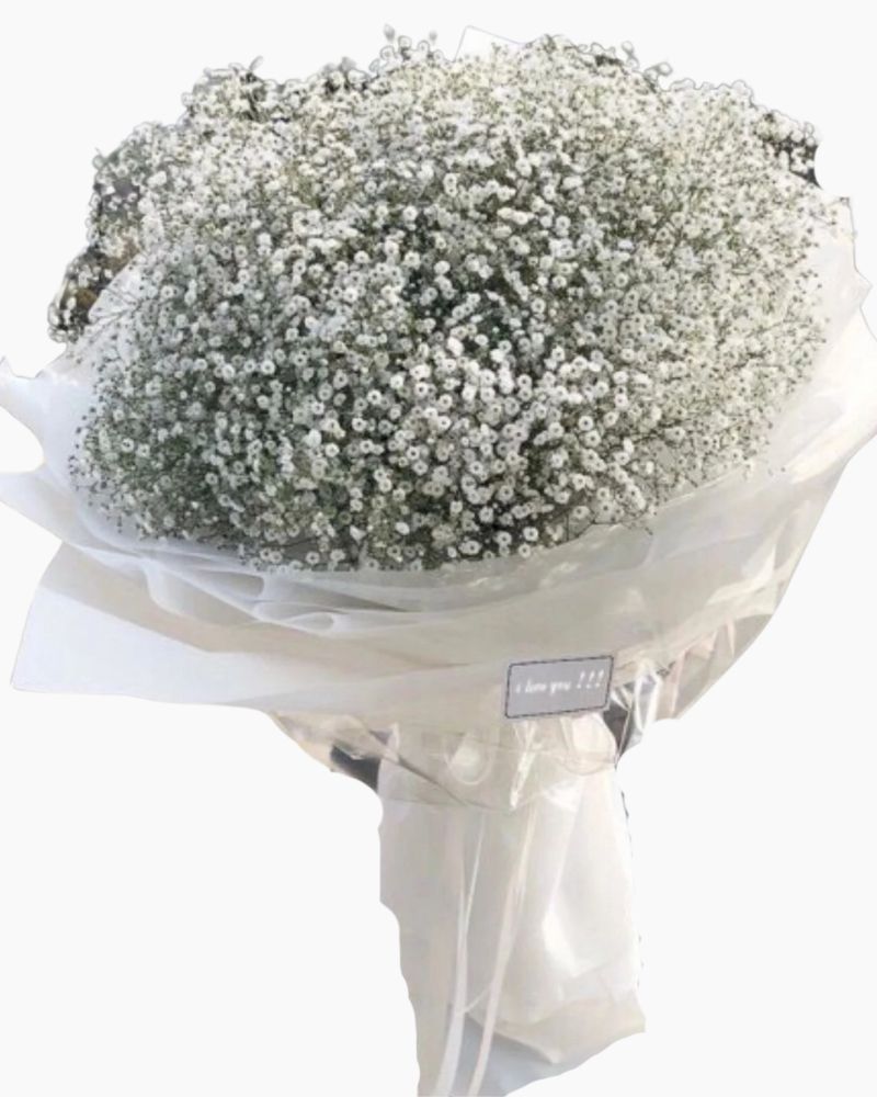 Baby's Breath - HBT25 - Hoa Sinh Nhật