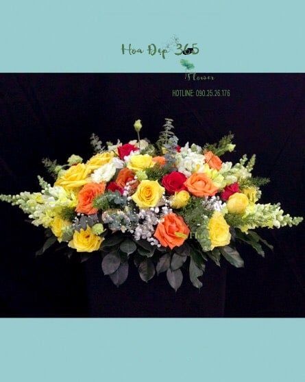 Hoa Để Bàn - Ovan 06