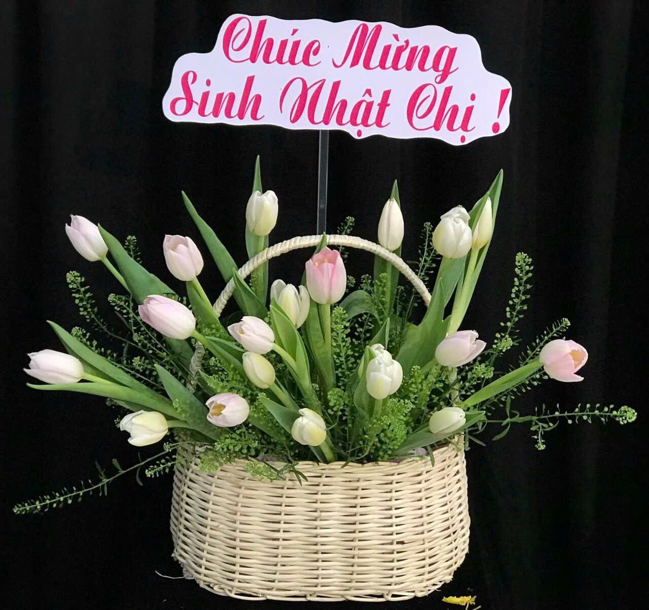 Giỏ Hoa Tươi Tulip Mix Màu - HG63