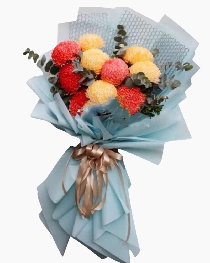 Bó Cúc Mẫu Đơn Mix Màu - HBD161 - Hoa Sinh Nhật