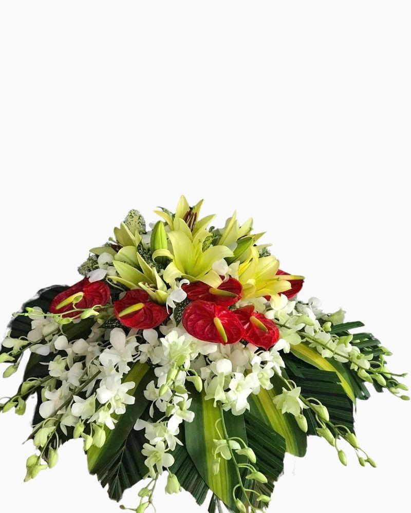 Hoa Bục Phát Biểu Rạng Rỡ Khai Màn - BPB10