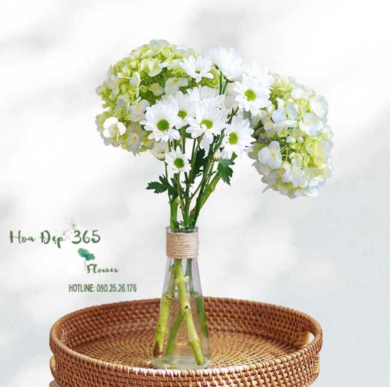 Under The Blue Sky - HBT53 - Hoa 20/11 - Hoa Cẩm Tú