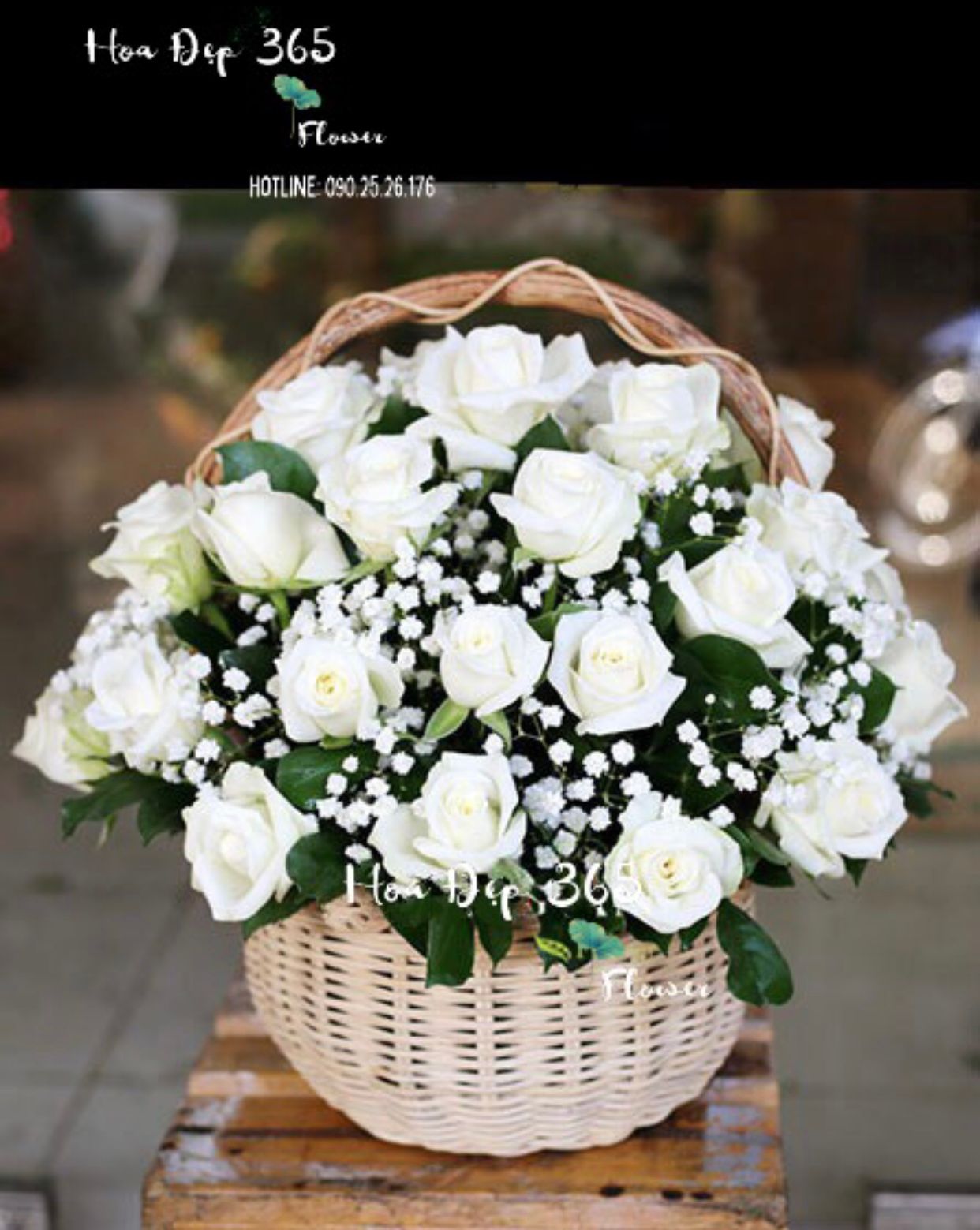 Rose White - GHV07