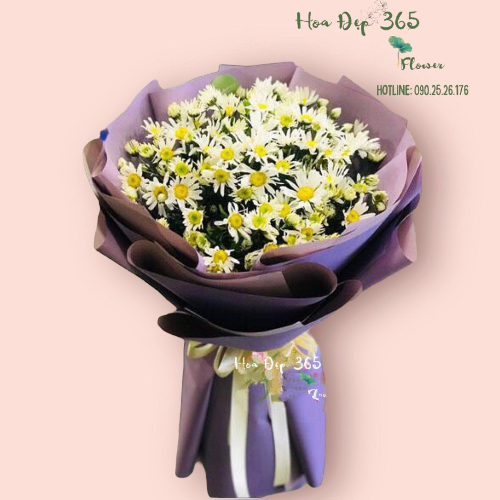 Bó Cúc Hoạ Mi Mộng Mơ - HBT65 - Hoa 20/11