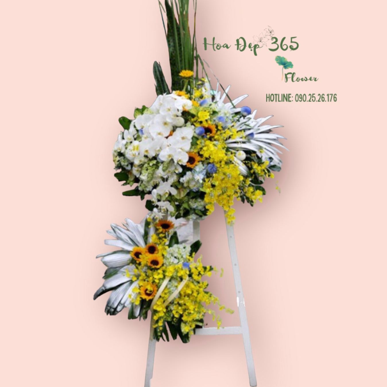 Jubilant - GT29 - Kệ Hoa Khai Trương