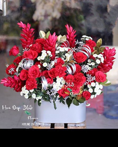 May Mắn - HH47