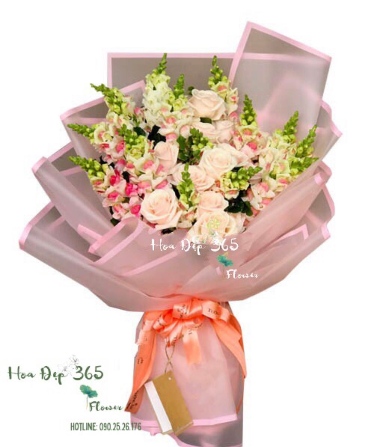 Quan Tâm - HBD149 - Hoa 20/11 Chúc Mừng 20 tháng 11