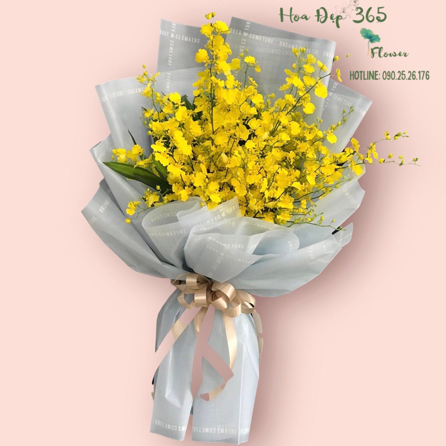 Bó Lan Vũ Nữ - HBD237