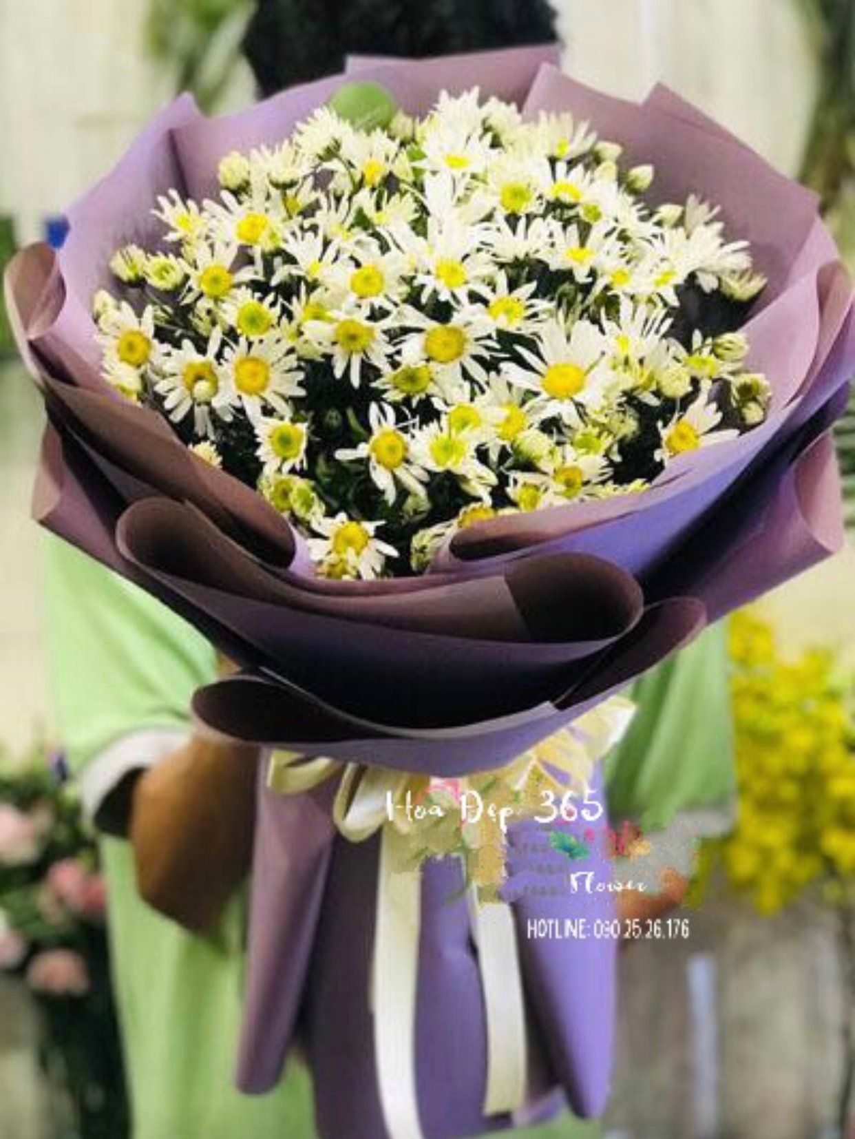 Bó Cúc Hoạ Mi Mộng Mơ - HBT65 - Hoa 20/11