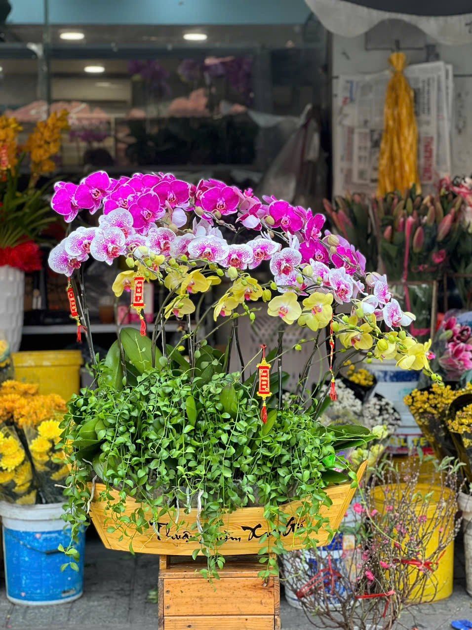 Chiếc Thuyền Lan Hồ Điệp - LHĐ107