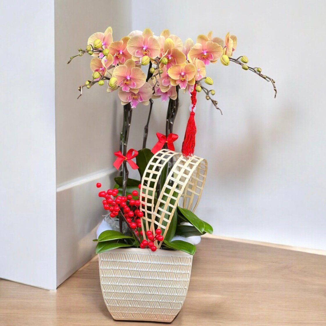 Chậu Hoa Lan Hồ Điệp 5 Cành Vàng Tím - LHĐ112