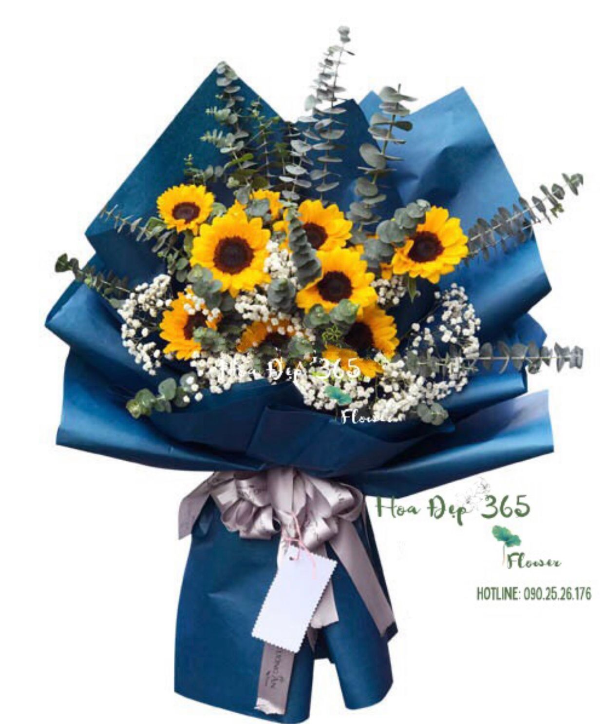 Nắng Sớm - HBD172