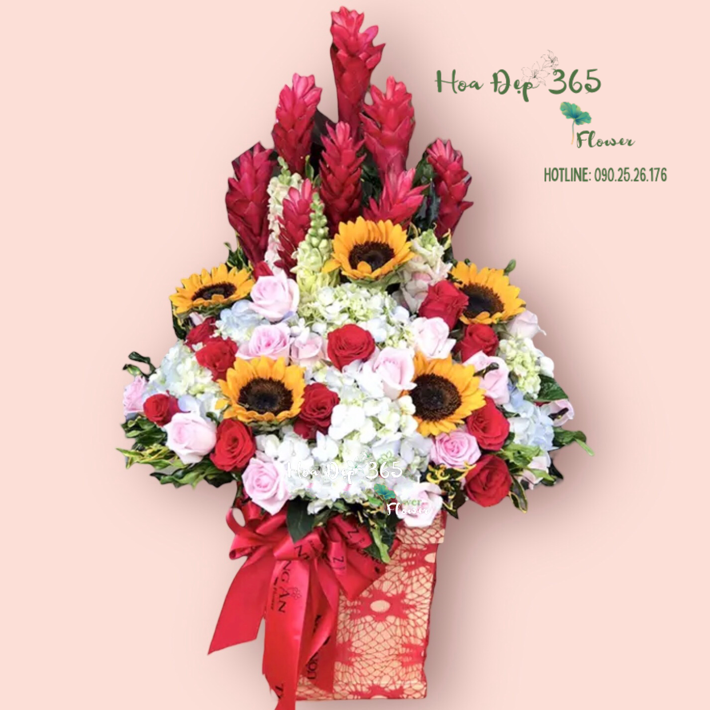 The Pink Power - HCH20 - Hoa 20/11 Đáng Nhớ