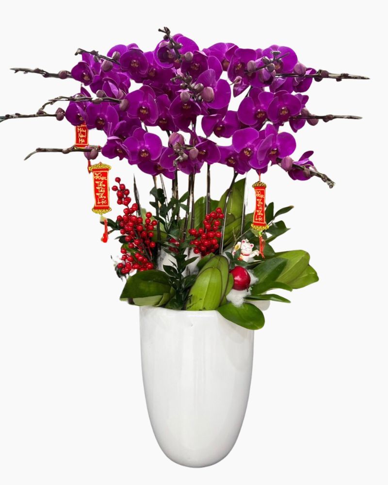 Chậu Hoa Lan Hồ Điệp Hưng Thịnh - LHĐ82