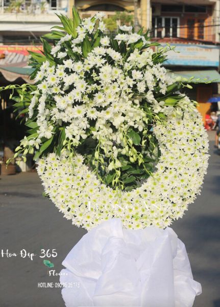 Hạ Trắng - HTL17 - Vòng Hoa Tang Lễ được thiết kế: Hoa Cúc Trắng làm chủ đạo cùng Lan Thái Trắng.