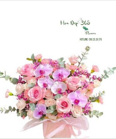 Sắc Hồng Yêu Thương - HCH89