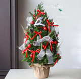  Cây Thông Noel Jingle Bell Pine - HGS11 - Giáng Sinh Ấm Áp 