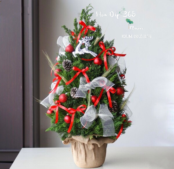 Cây Thông Noel Jingle Bell Pine - HGS11 - Giáng Sinh Ấm Áp