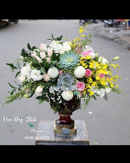 Sang Trọng- HCB47