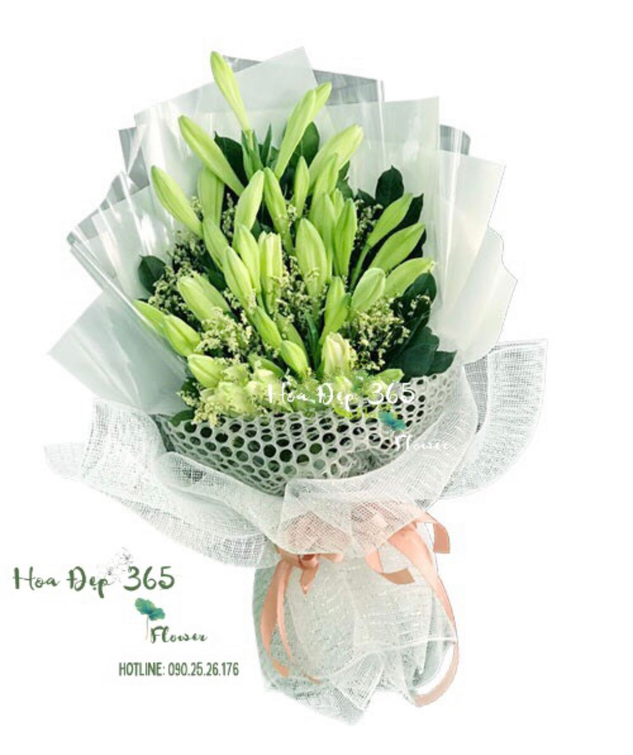 Giản Dị - HBD153 - Hoa 20/11 gửi tặng thầy cô