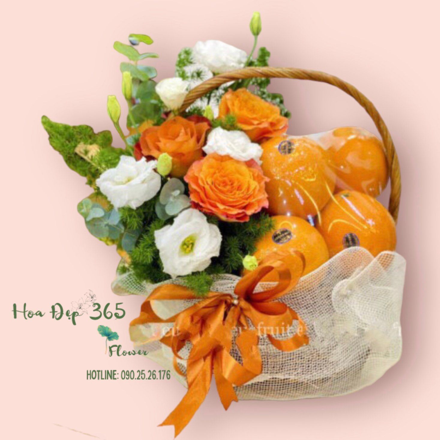 Giỏ Trái Cây Thăm Bệnh - GTC131 - Điện Hoa