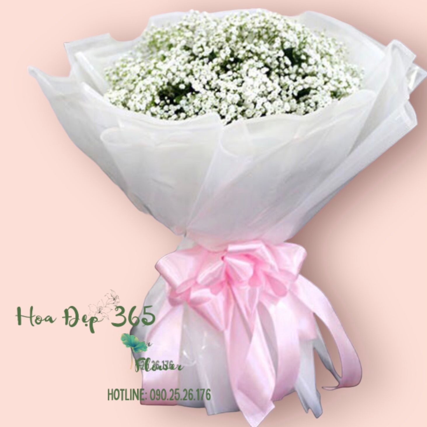 Bó Hoa Baby Trắng - HBT16 - Hoa 20/10