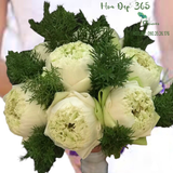  Hoa Cưới Cầm Tay Cô Dâu Beautiful In White - HC33 