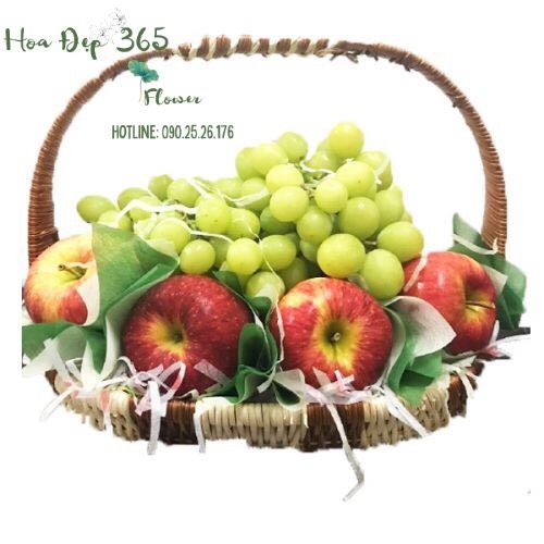 Giỏ Trái Cây Tấm Lòng Thành - GTC34