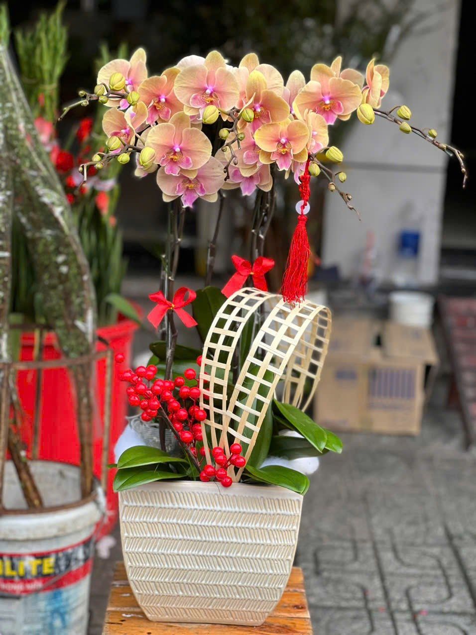 Chậu Hoa Lan Hồ Điệp 5 Cành Vàng Tím - LHĐ112