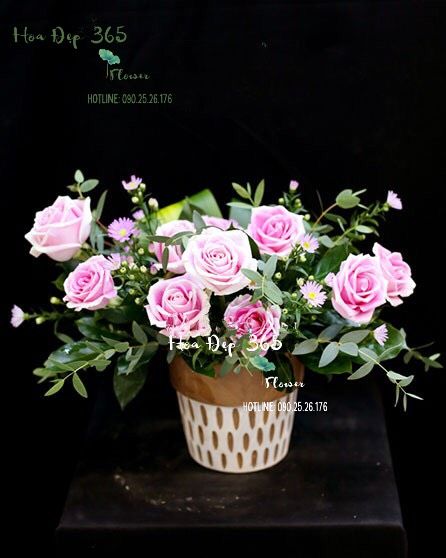 Tin Yêu - HCB04 - Ngày Của Mẹ