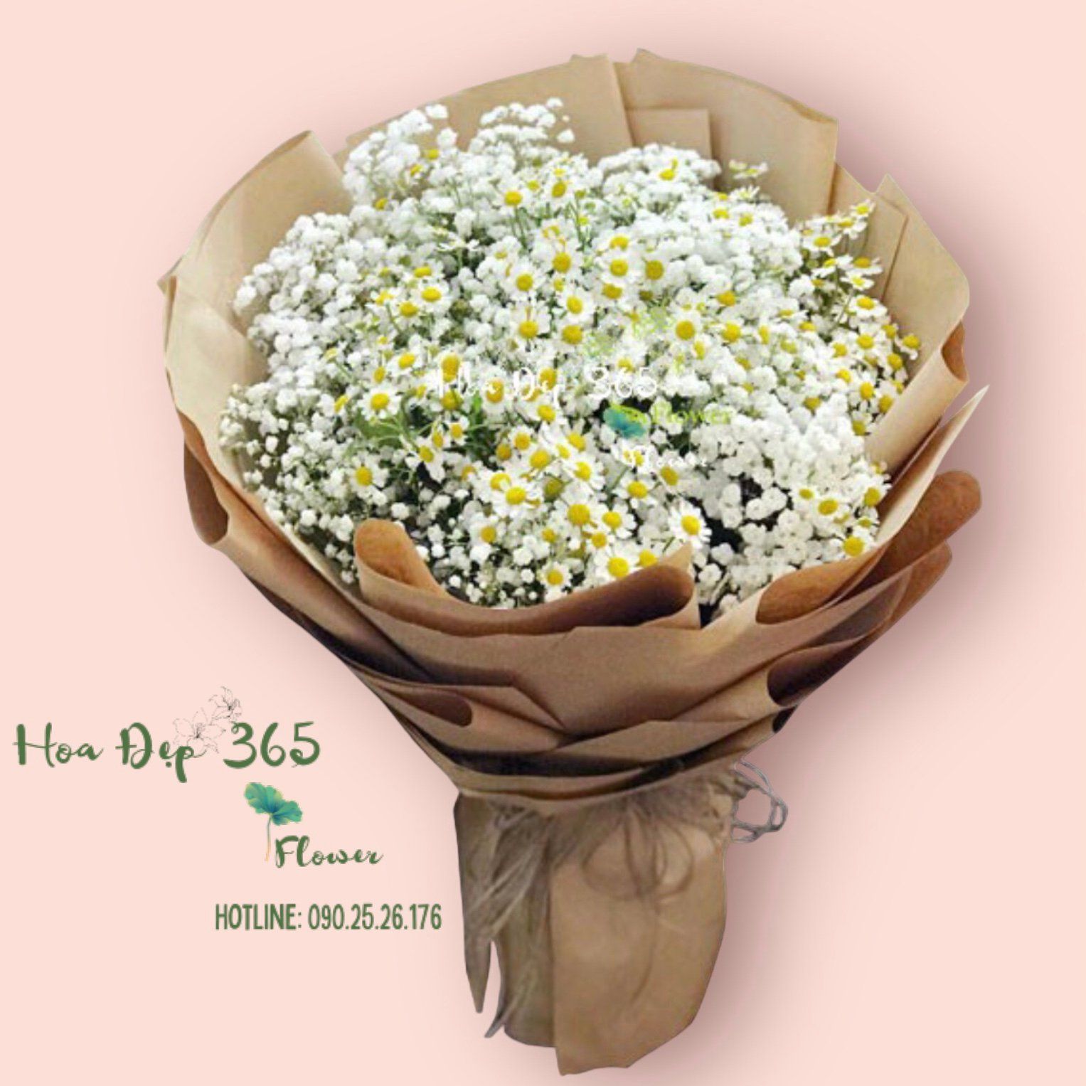 Bó Baby Mix Cúc Tana - Hoa tặng mẹ - HBT70