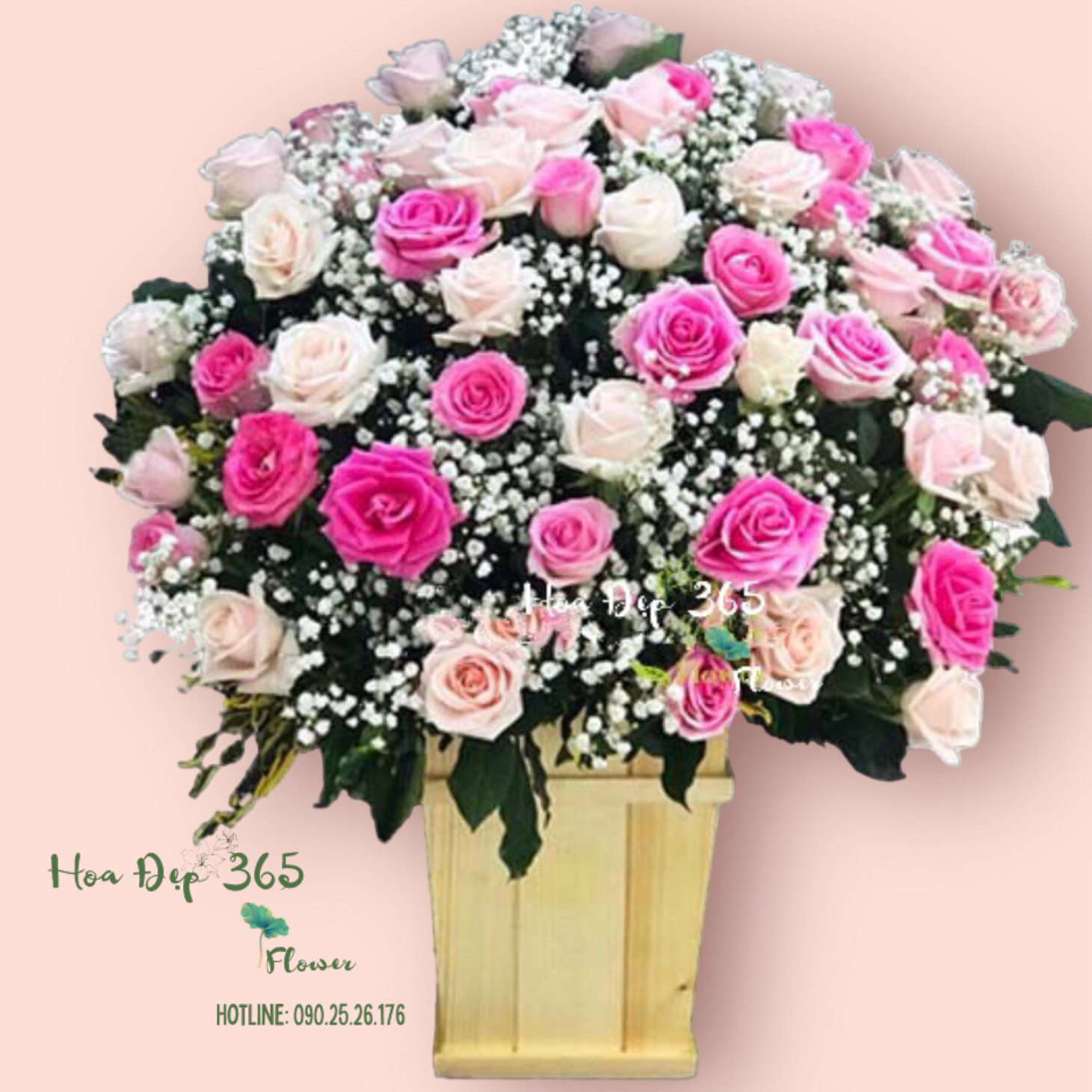 Hộp Hoa Xinh Xinh - HCH67 - Hoa Tặng Thầy Cô Ý Nghĩa 20/11