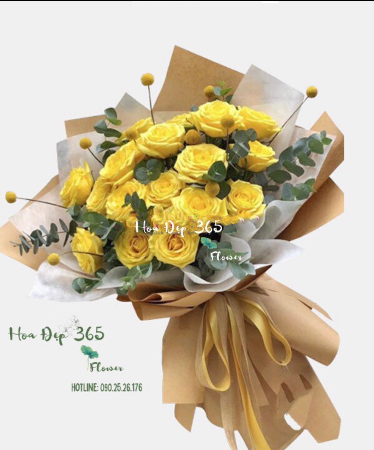 Ngày May Mắn - HBD220