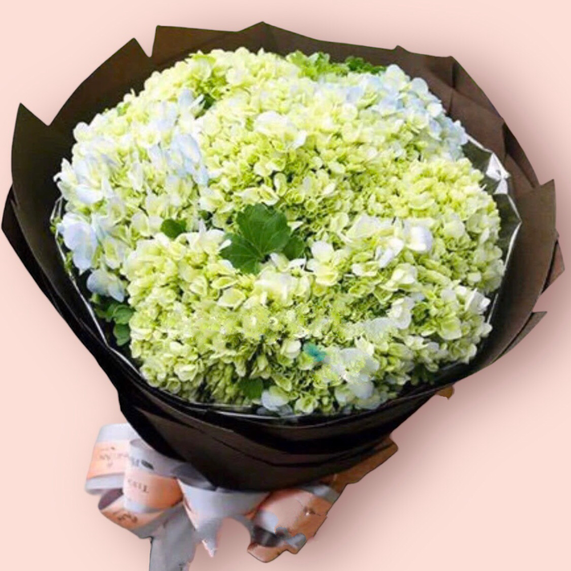 Bó Hoa Cẩm Tú Cầu - HBT51 - Hoa tặng mẹ