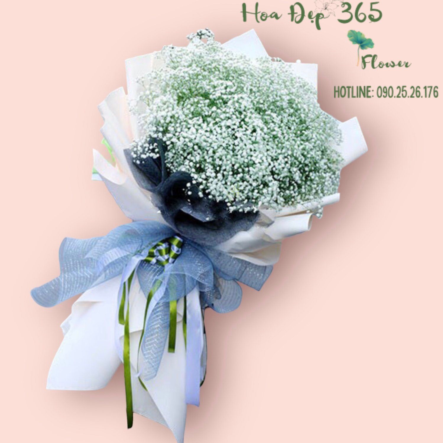 Baby Big Size - HBD18 - Hoa 8/3