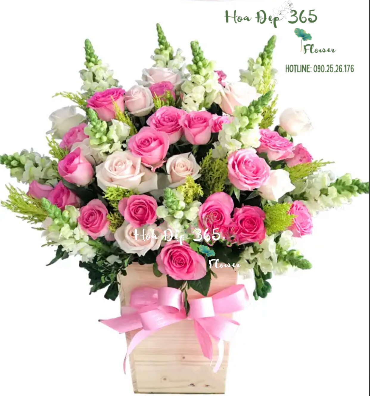 Celerbrate - HCH38 - Hoa Hồng 20/10