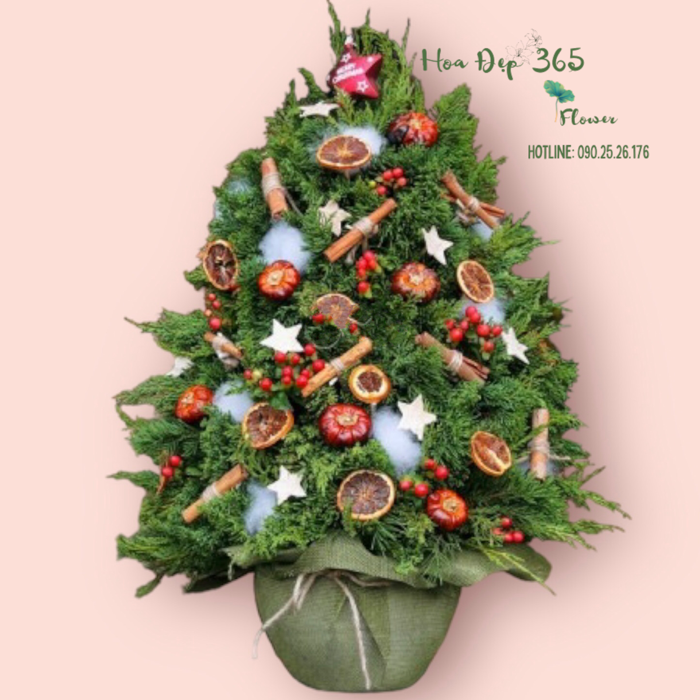 Cây Thông Noel Merry Spruce - HGS09 - Giáng Sinh An Lành