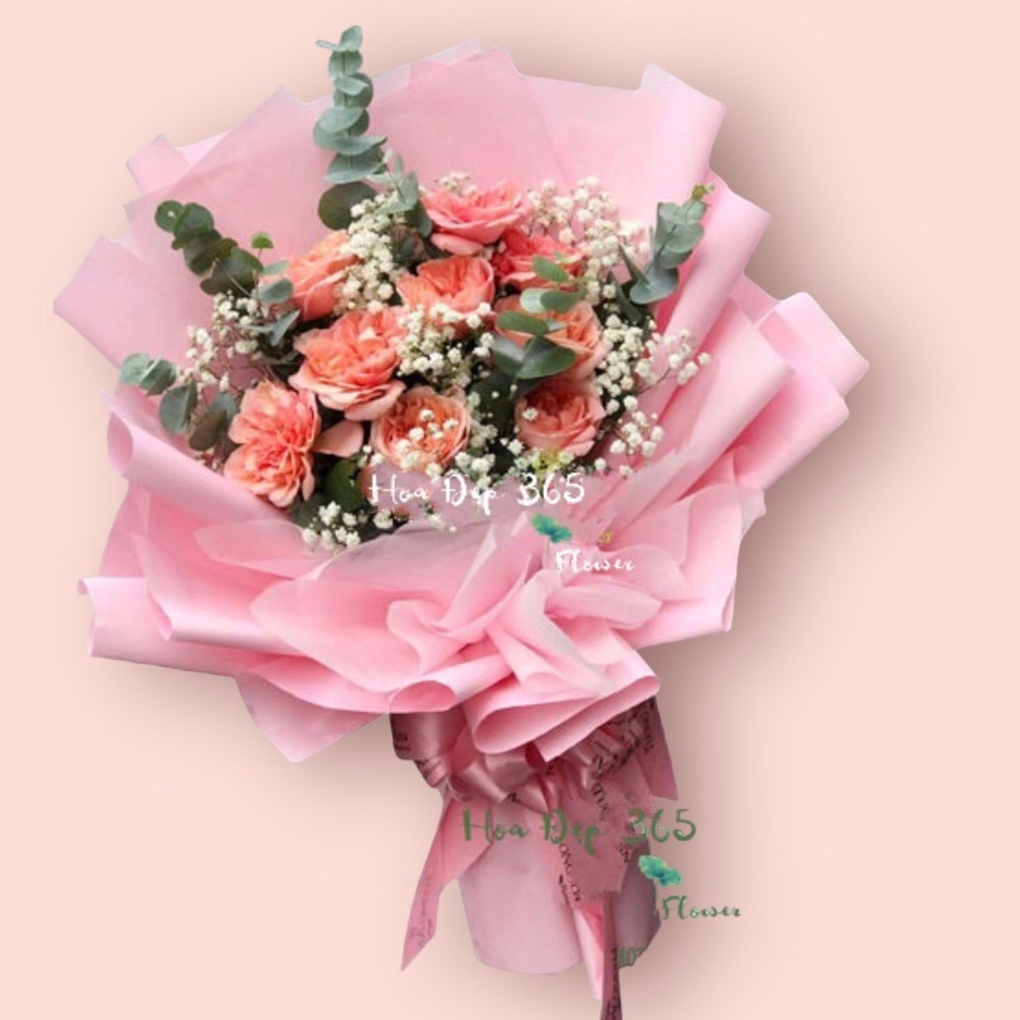 Nụ Hôn Đầu - HBD195