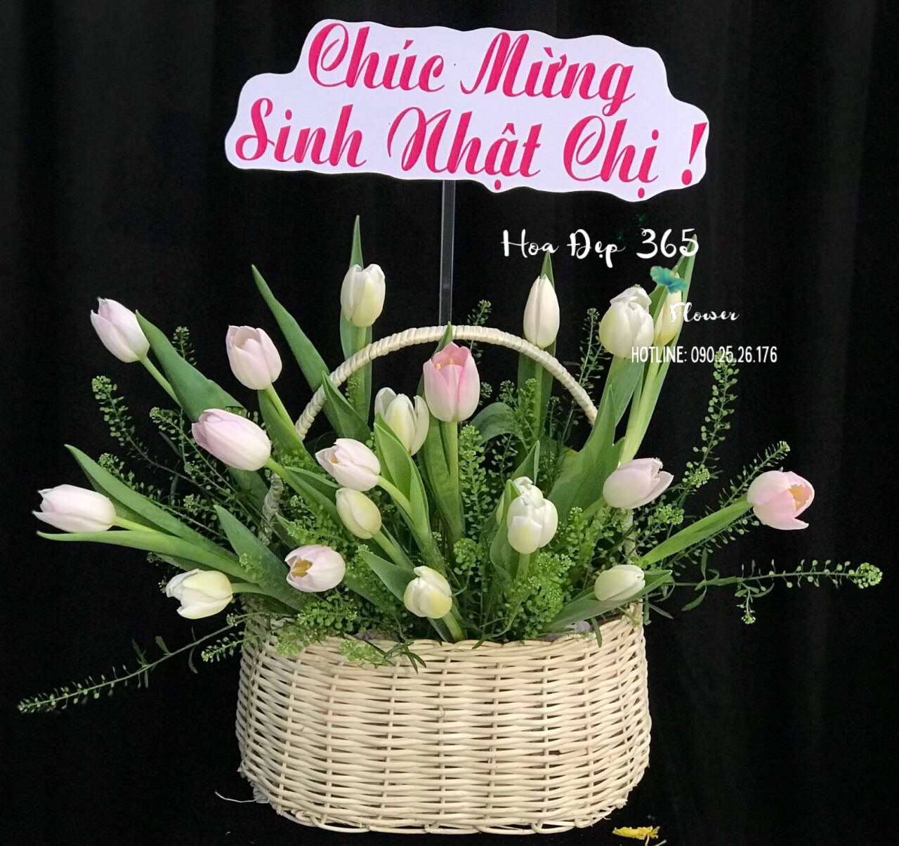 Giỏ Hoa Tươi Tulip Mix Màu - HG63