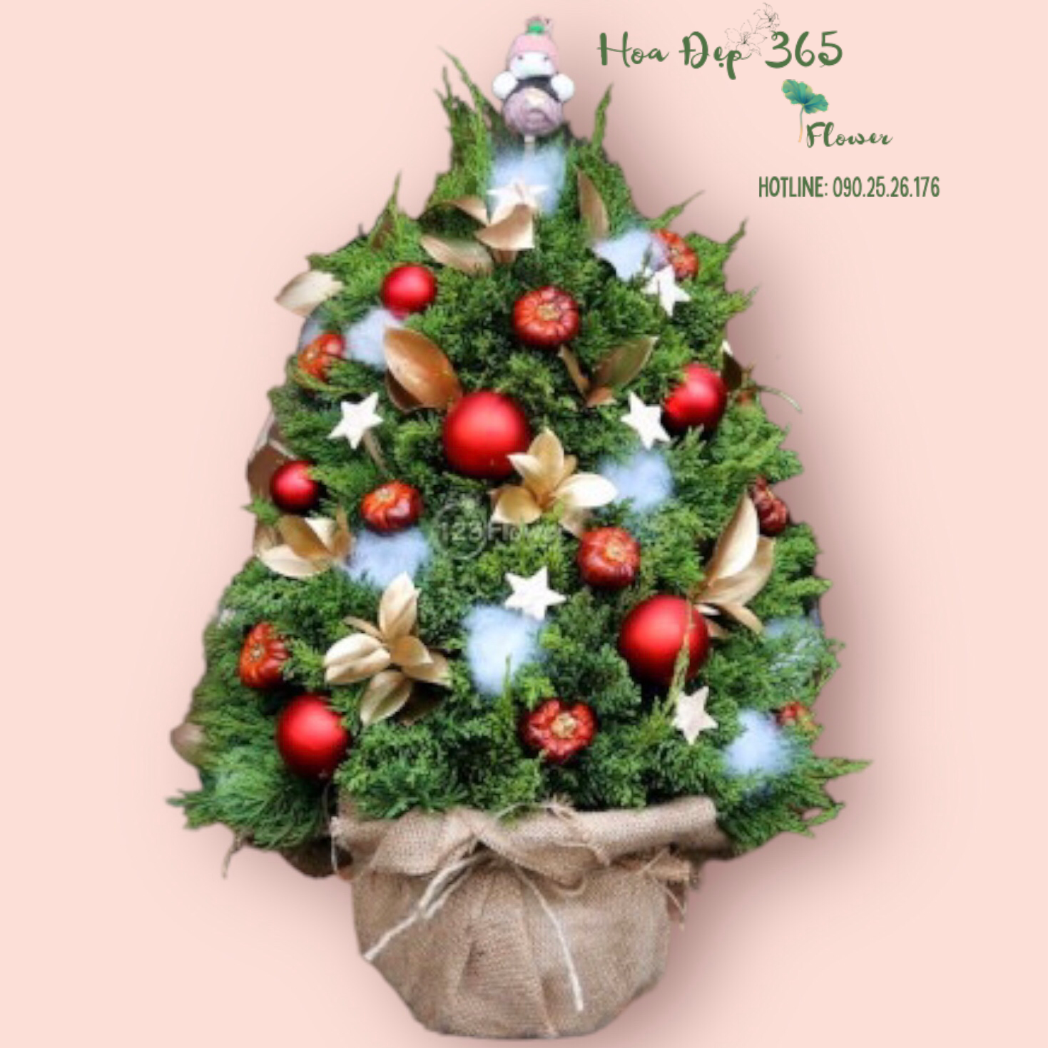 Cây Thông Noel Joyful Pine - HGS08 - Giáng Sinh Bình An
