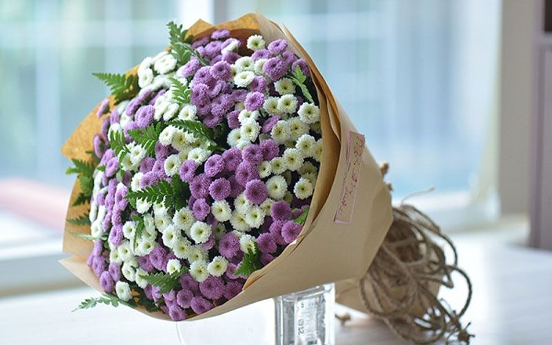 Hoa Cúc Calimero - Hoa Tươi Cắt Cành Lẻ Giao 2H Tại TPHCM